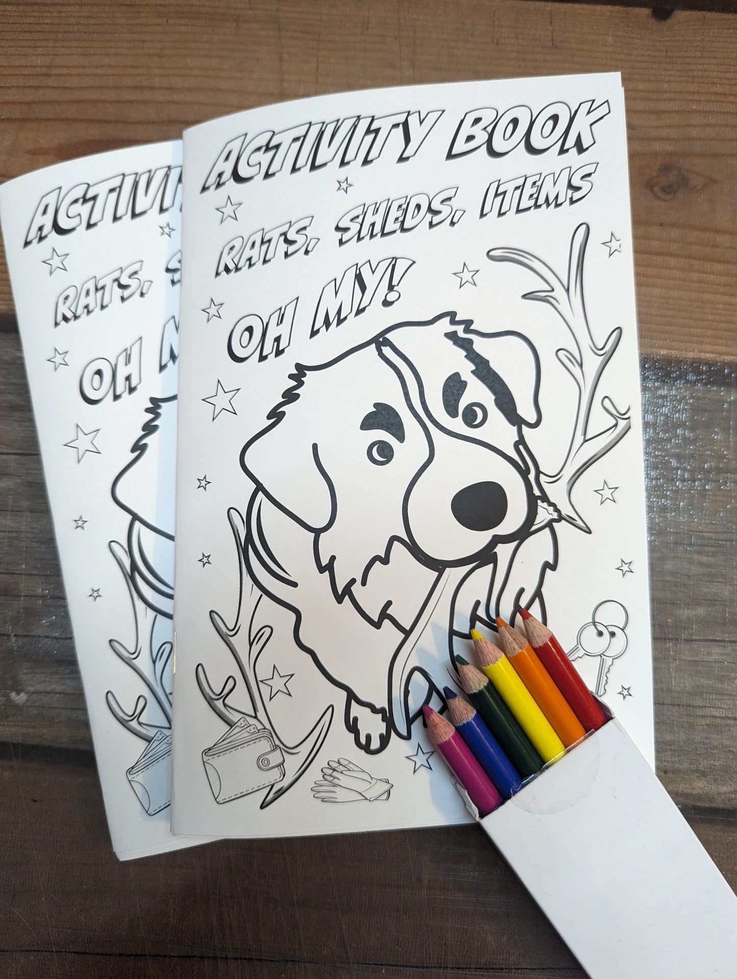 NASDA PASSPORT / MINI ACTIVITY BOOK