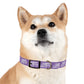 THERAPY DOG TEAM - Dog Collar