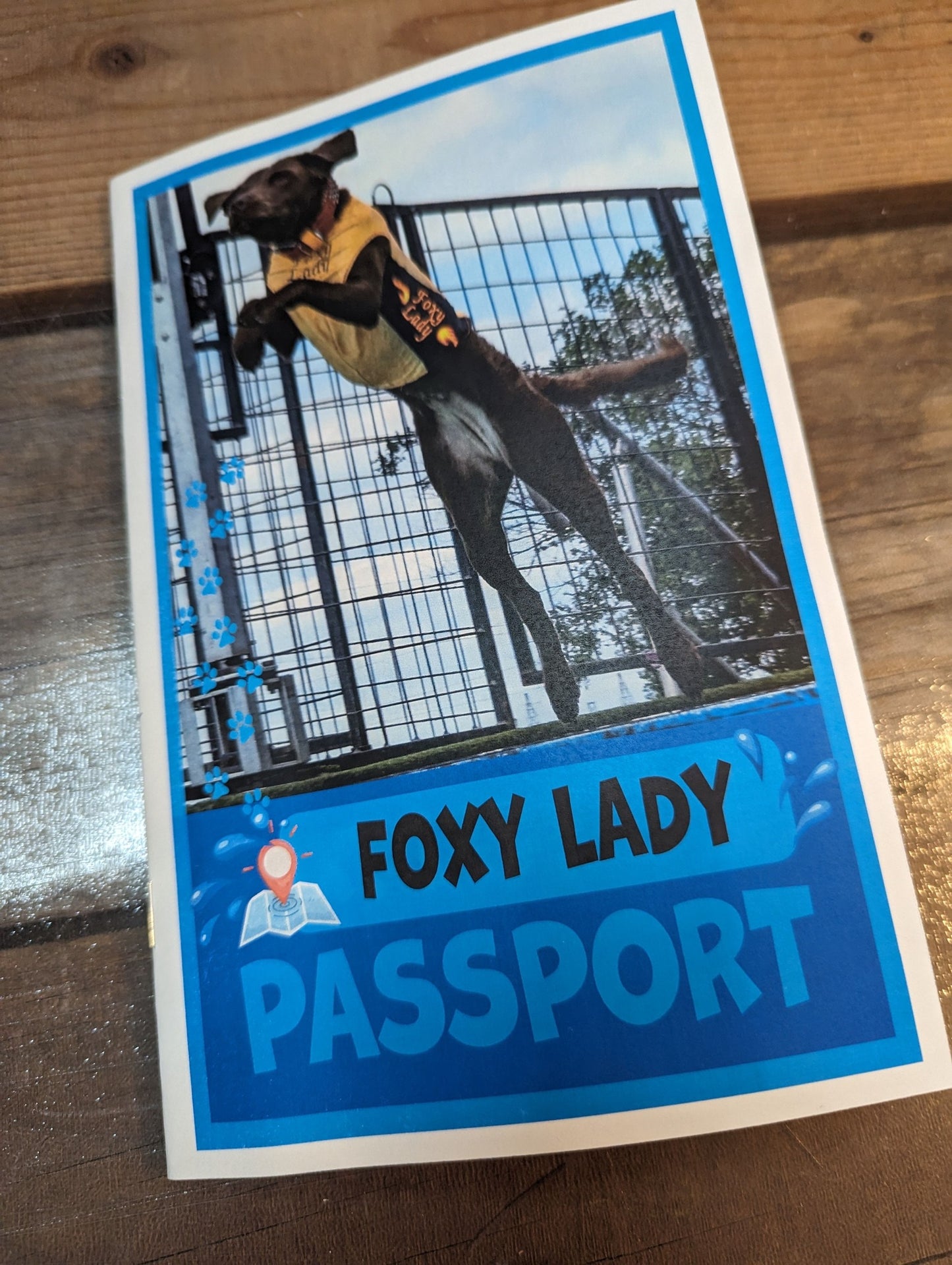 DOCK DIVING PASSPORT / MINI ACTIVITY BOOK