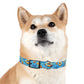 Summer Fun Floaties Dog Collar