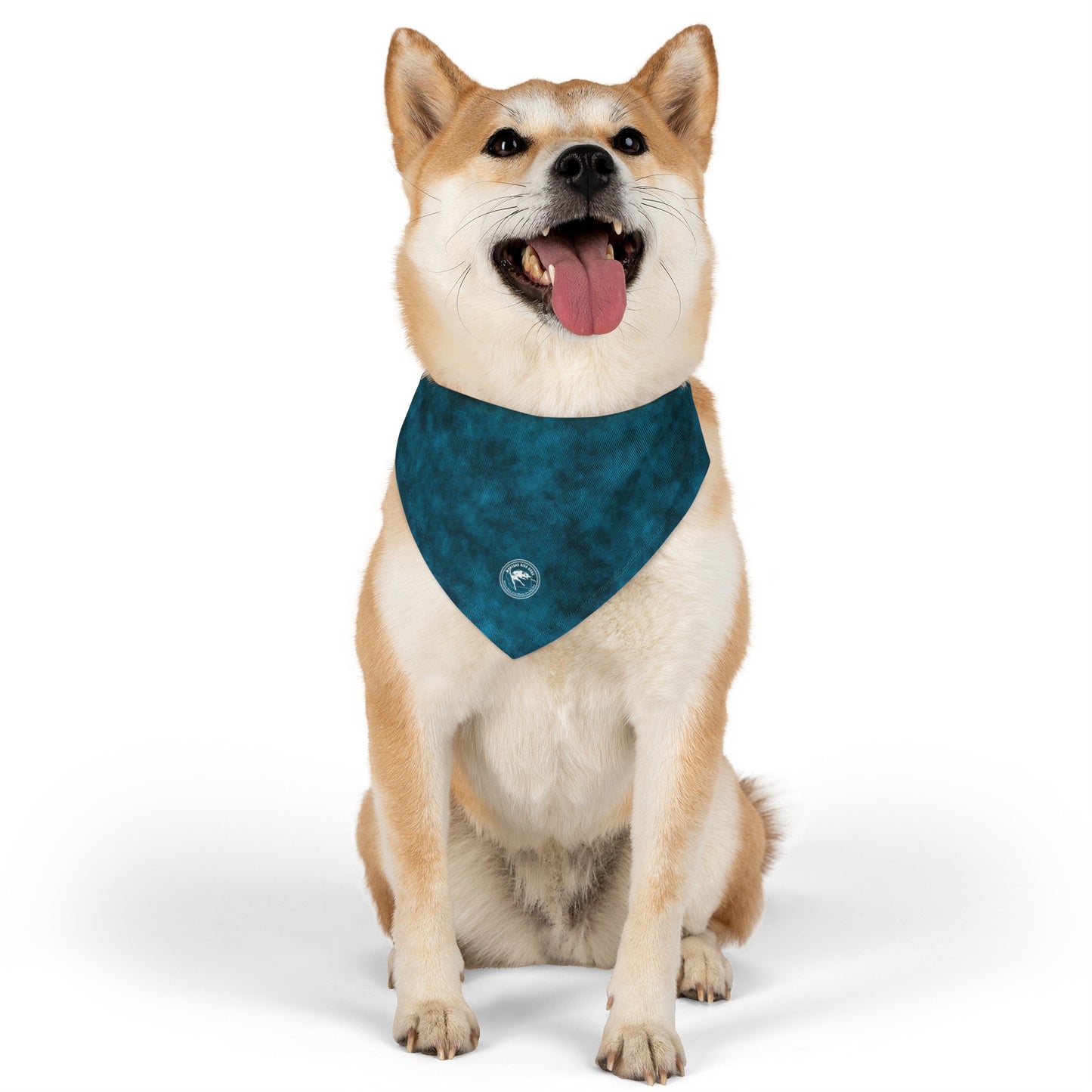 MONTANA DISC DOGS Pet Bandana Collar