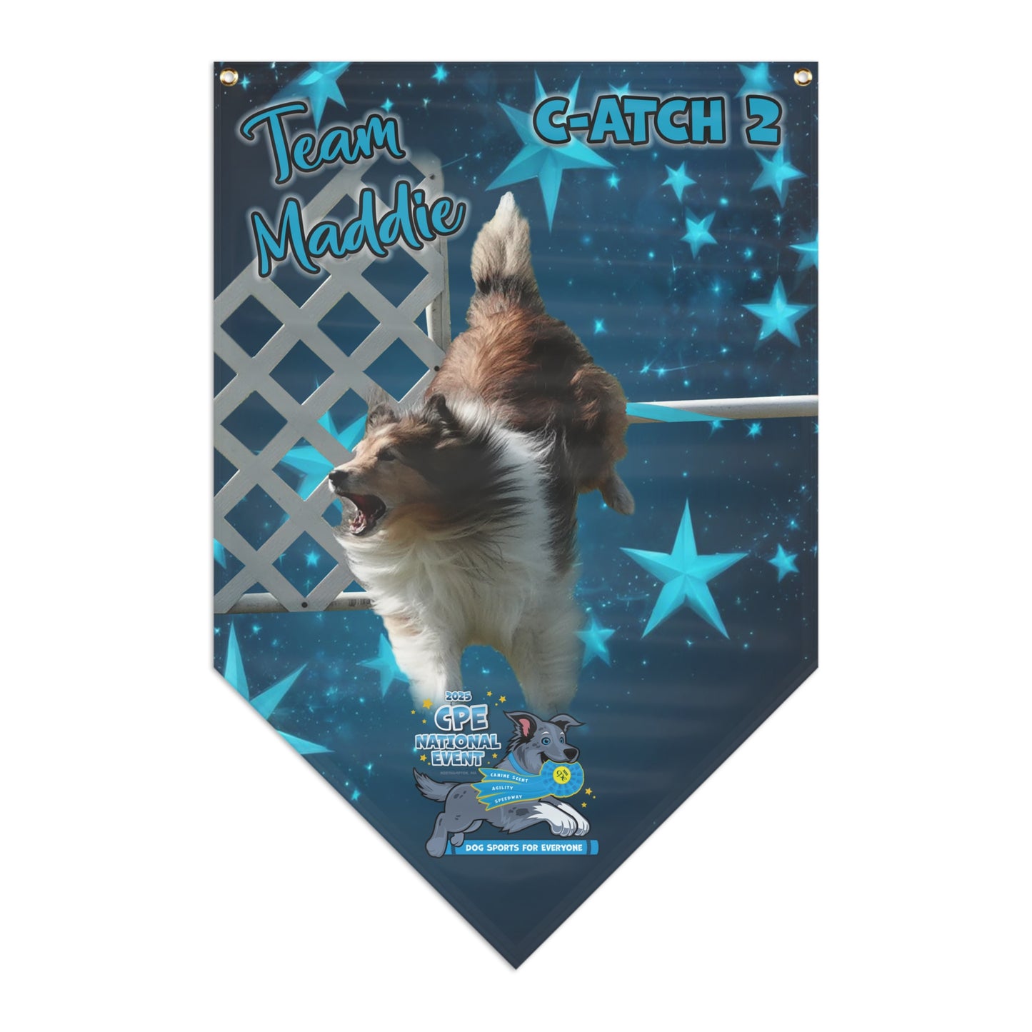 cpe maddie Pennant Banner