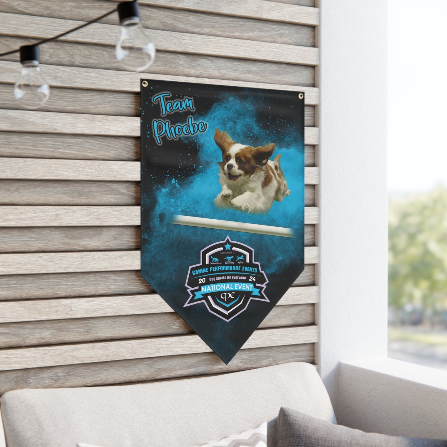 Phoebe Pennant Banner