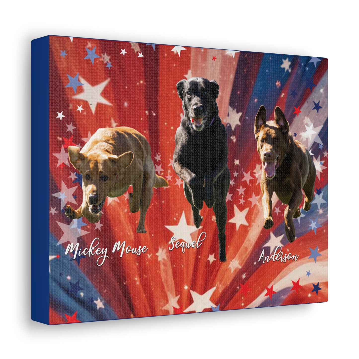 ANDERSON & FRIENDS Canvas Gallery Wraps