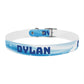 BUBBLES - DYLAN Dog Collar