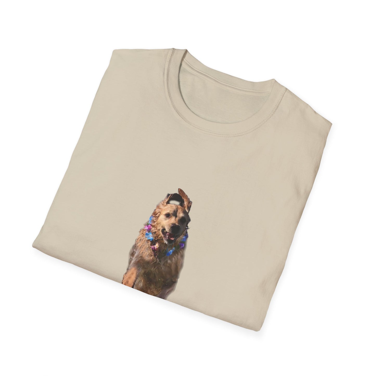 ENZO! Unisex Softstyle T-Shirt