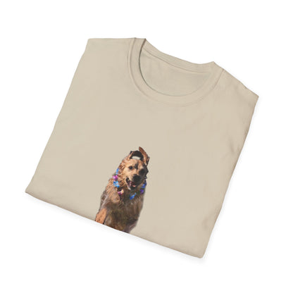 ENZO! Unisex Softstyle T-Shirt