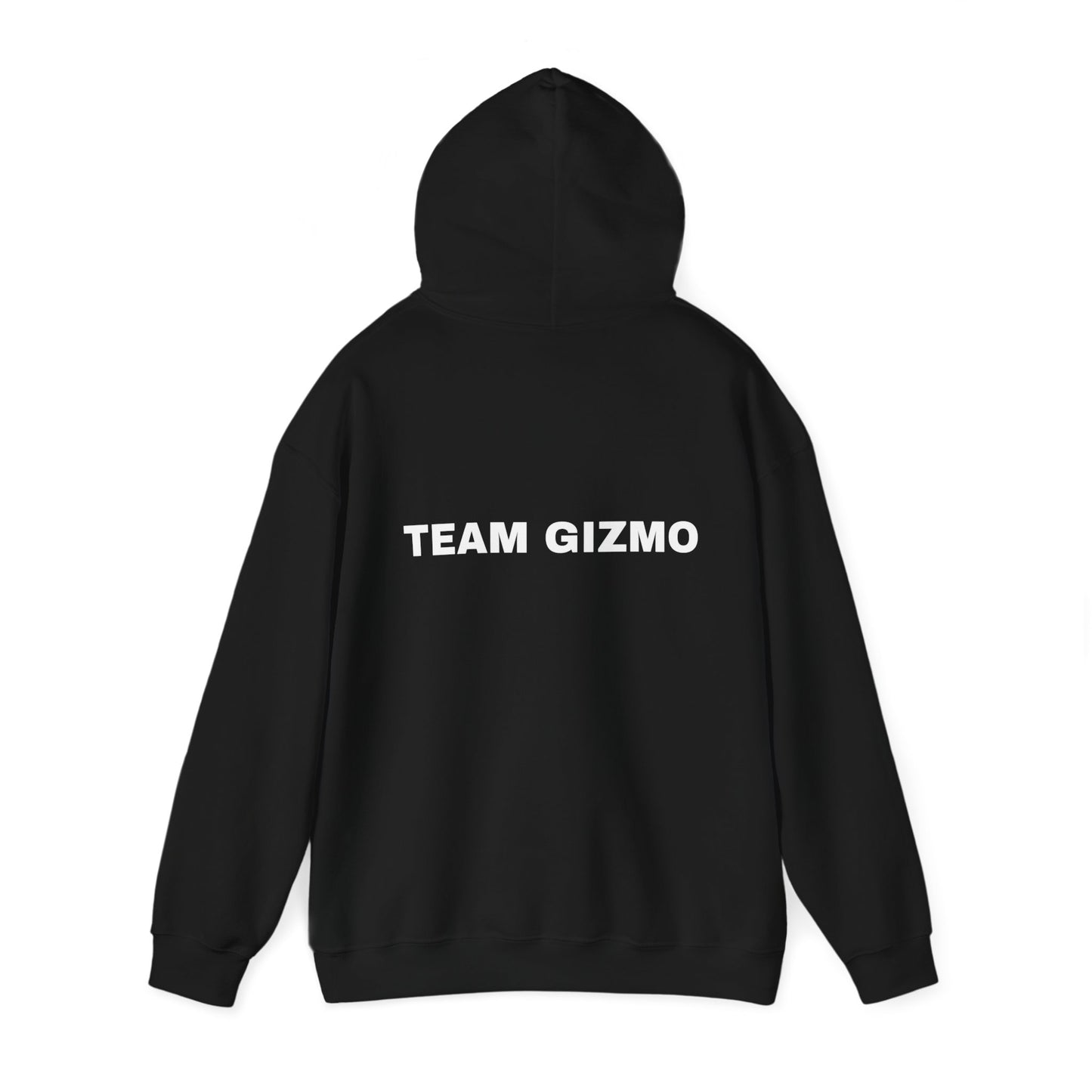 *** TEAM GIZMO CPE TEAM OHIO Unisex Heavy Blend™ Hooded Sweatshirt