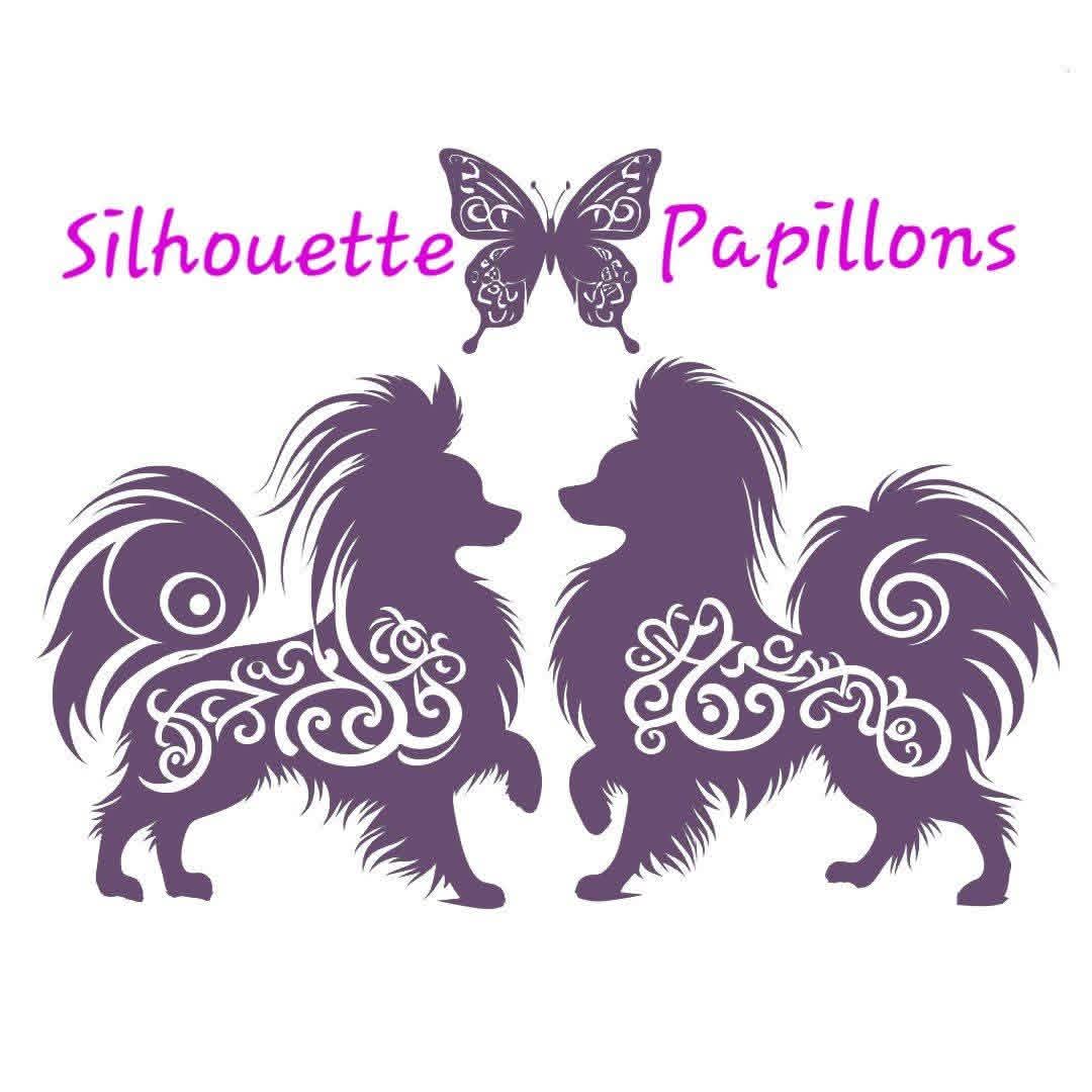 SILHOUETTE PAPILLON