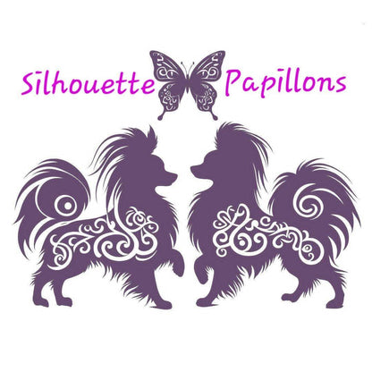 SILHOUETTE PAPILLON