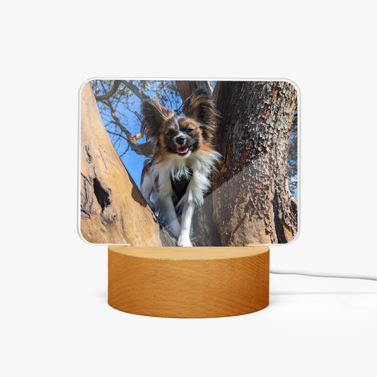 1063. Acrylic Plaque with Stand - Rectangle