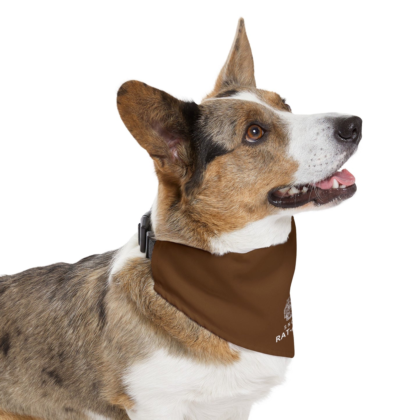 RAT-A-CATCHERS Pet Bandana Collar