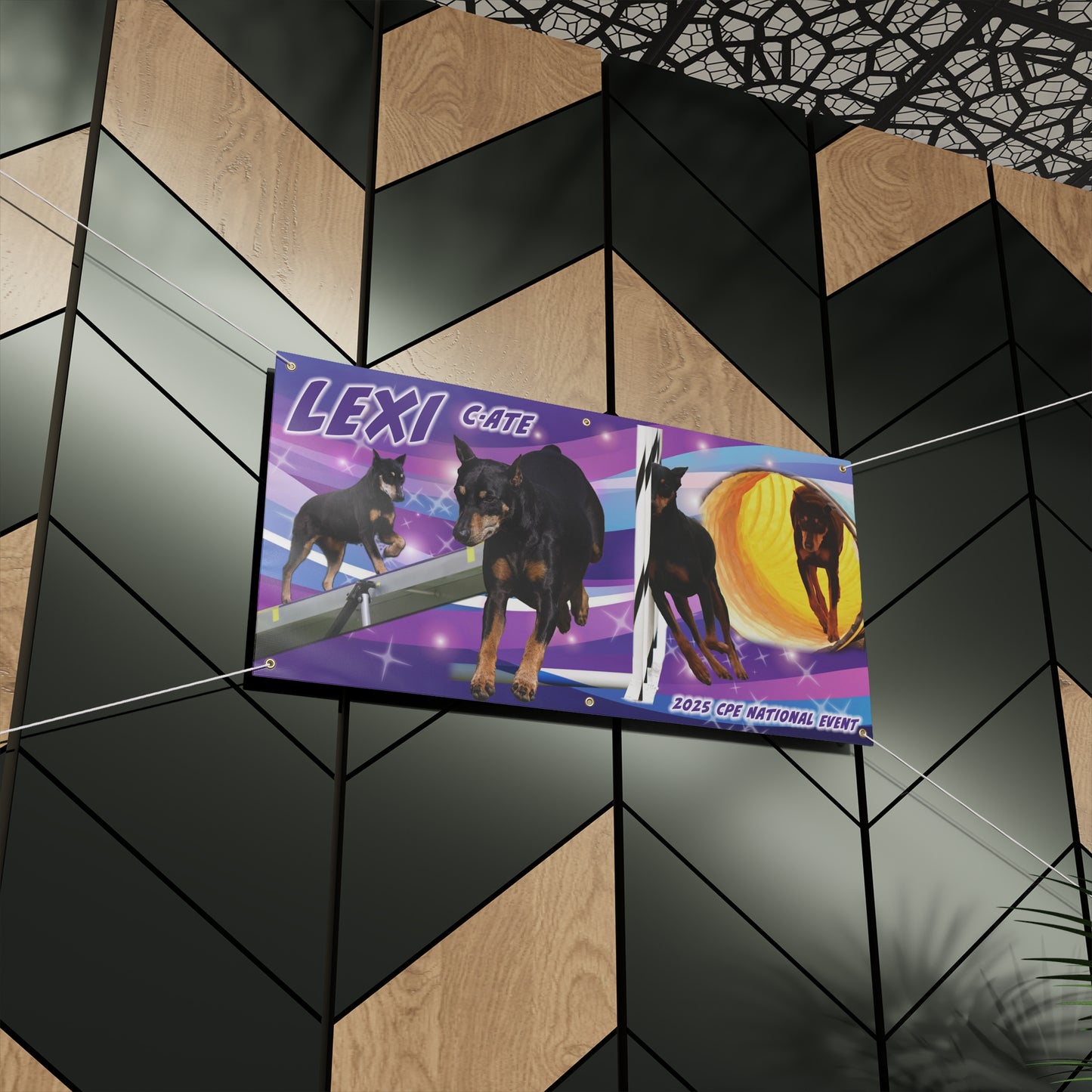 Matte Banner CPE LEXI