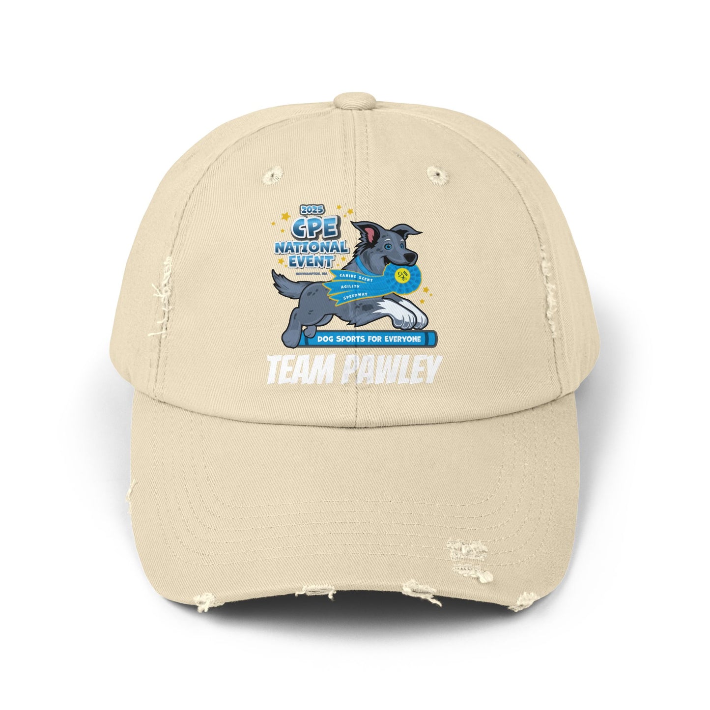 Team Pawley CPE Unisex Distressed Cap