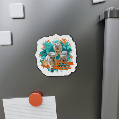 Y O S H I  Magnets