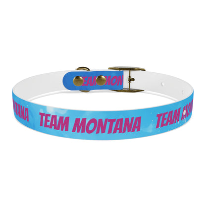 MONTANA NADD Dog Collar