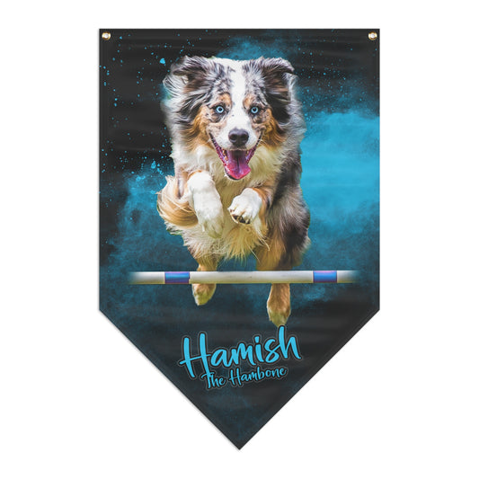 HAMISH  Pennant Banner
