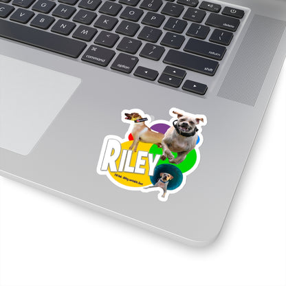 RILEY STICKER