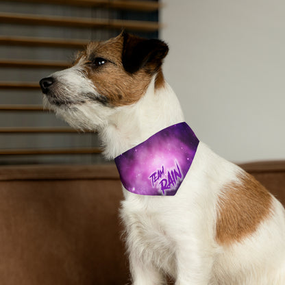 TEAM RAIN Pet Bandana Collar