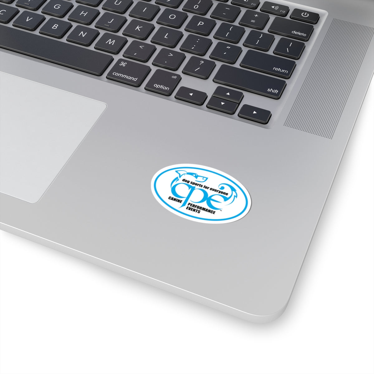 CPE OVAL   Stickers