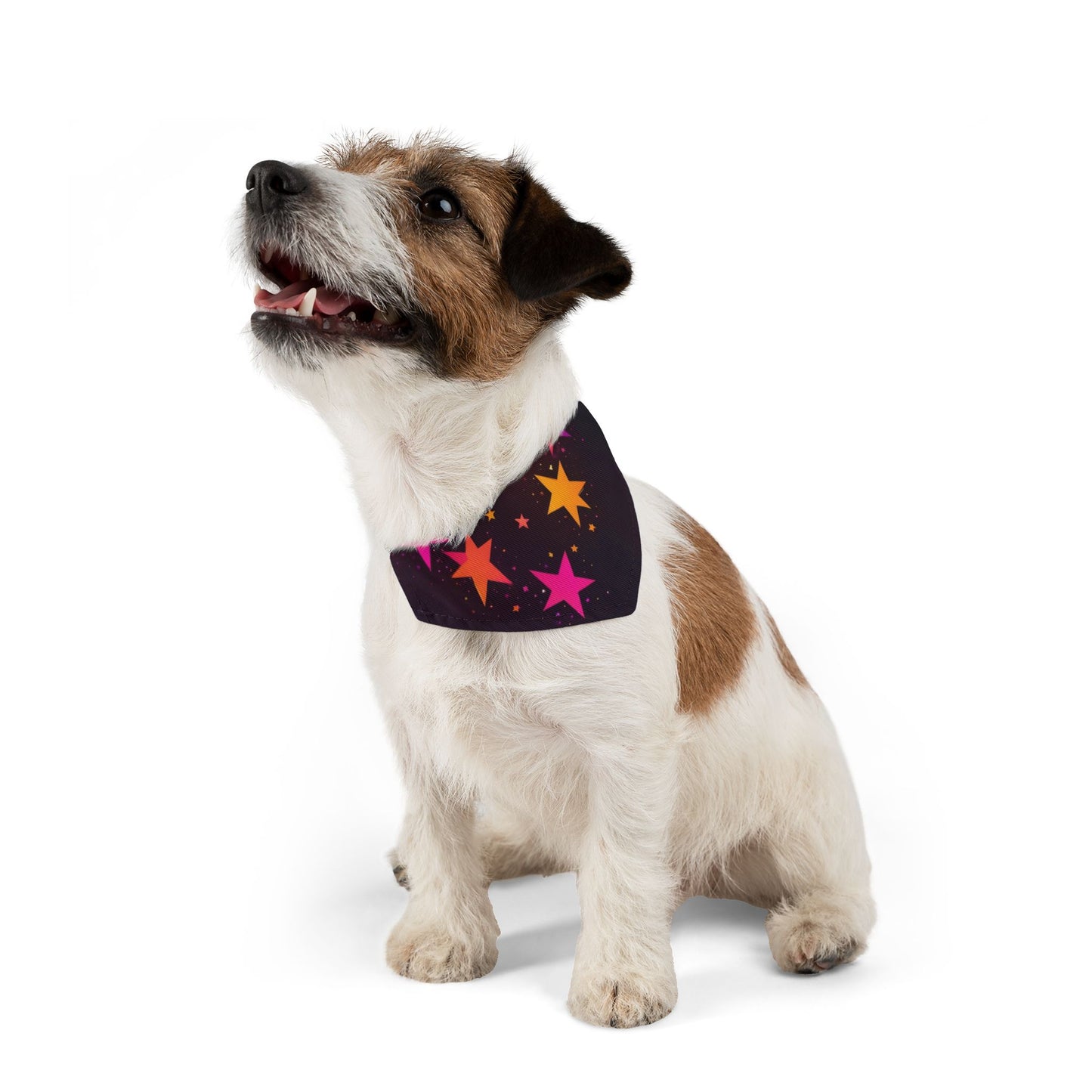 PINK ORANGE  STARS ON BLACK Pet Bandana Collar