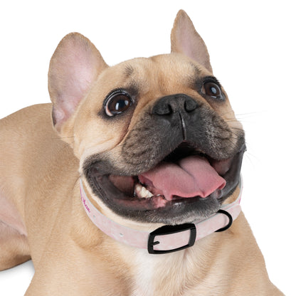 Tilly Mae - Custom Dog Collar