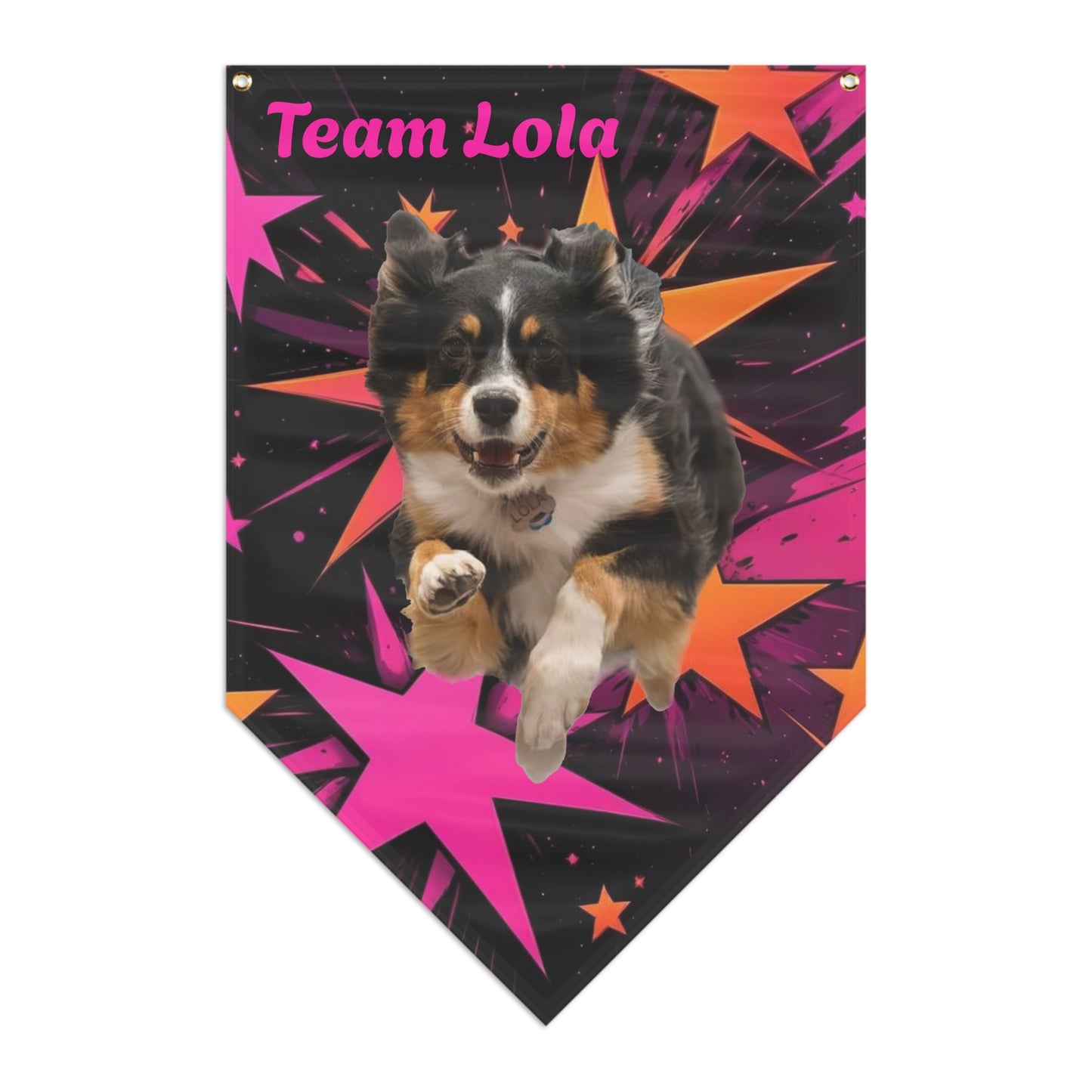 CHOOSE BACKGROUND! CUSTOM PINK ORANGE  BANNER
