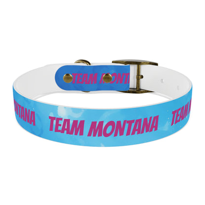 MONTANA NADD Dog Collar