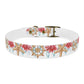 Starfish n Wheel Dog Collar