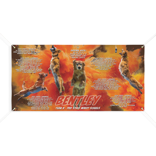 Bentley Matte Banner