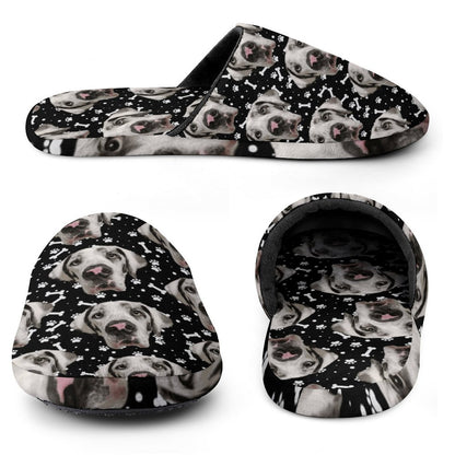 FACE w PAWS-n-BONES Mens Slippers