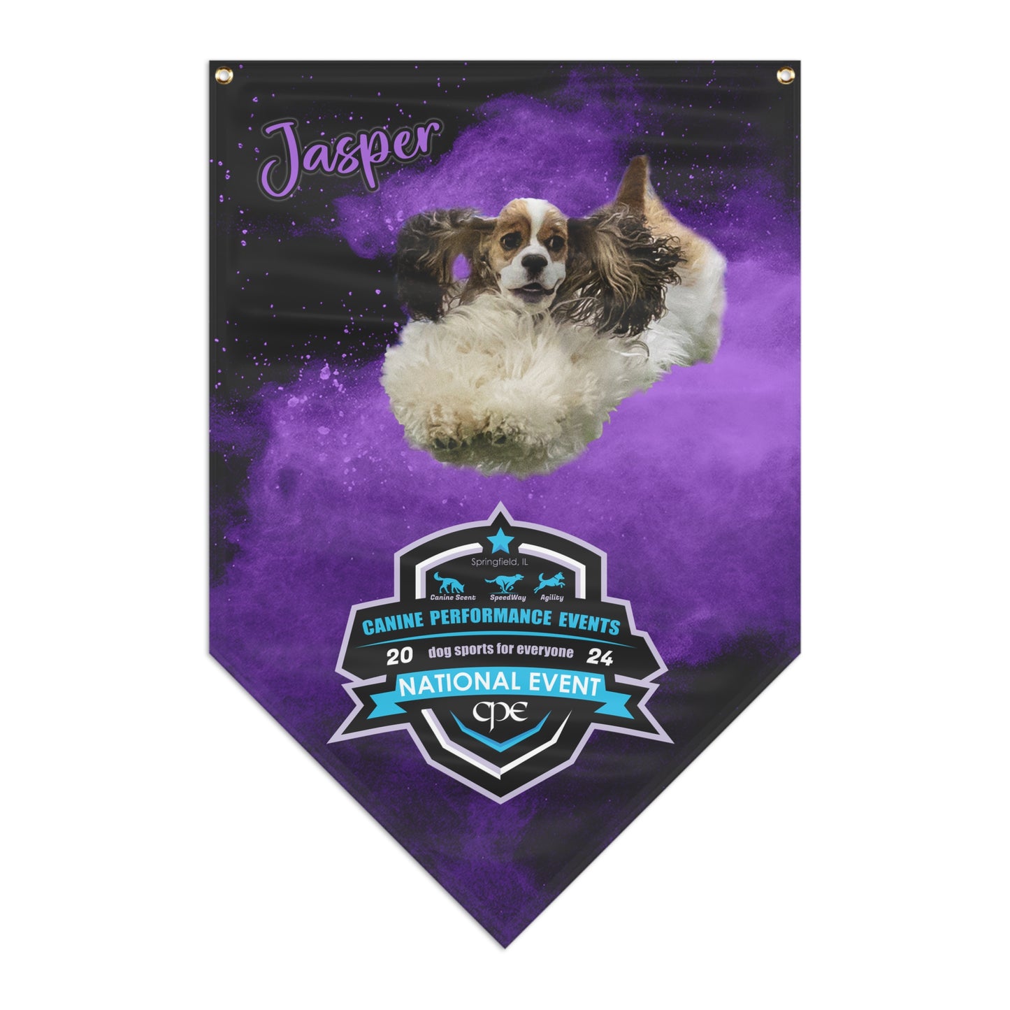 jasper  CPE Pennant Banner