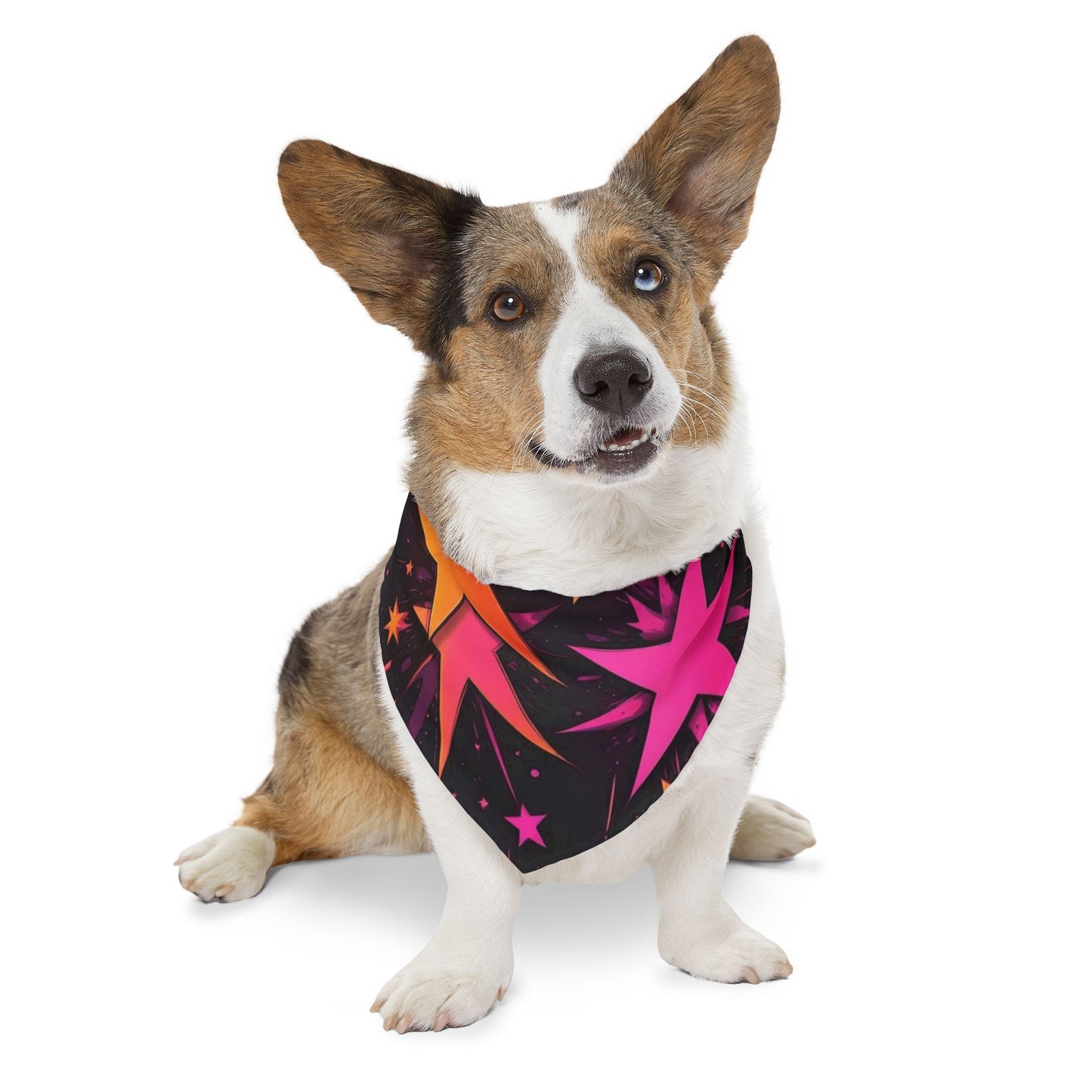 PINK ORANGE SUPER STARS Pet Bandana Collar