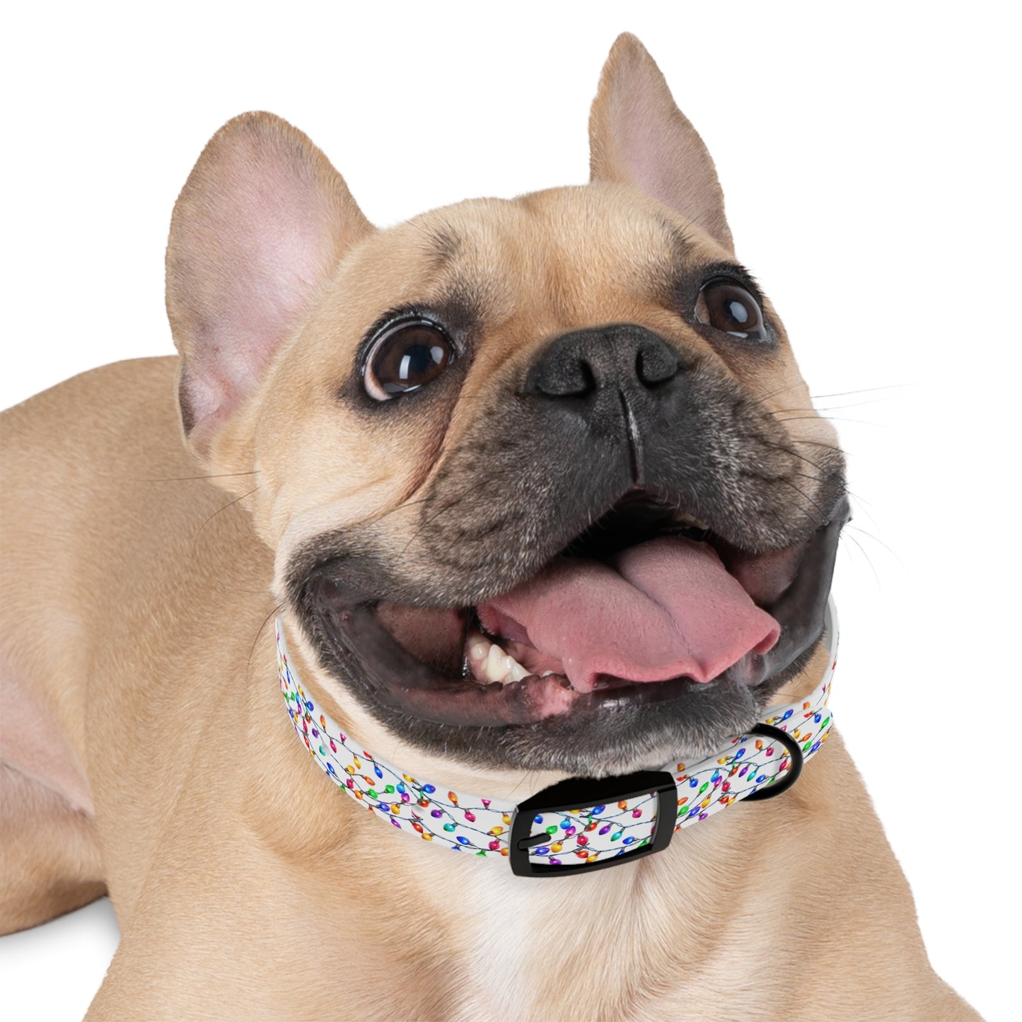 HOLIDAY LIGHTS Dog Collar