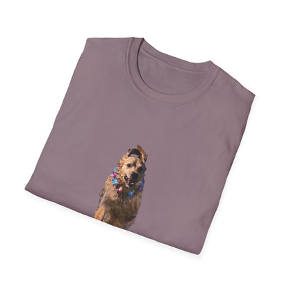 ENZO! Unisex Softstyle T-Shirt
