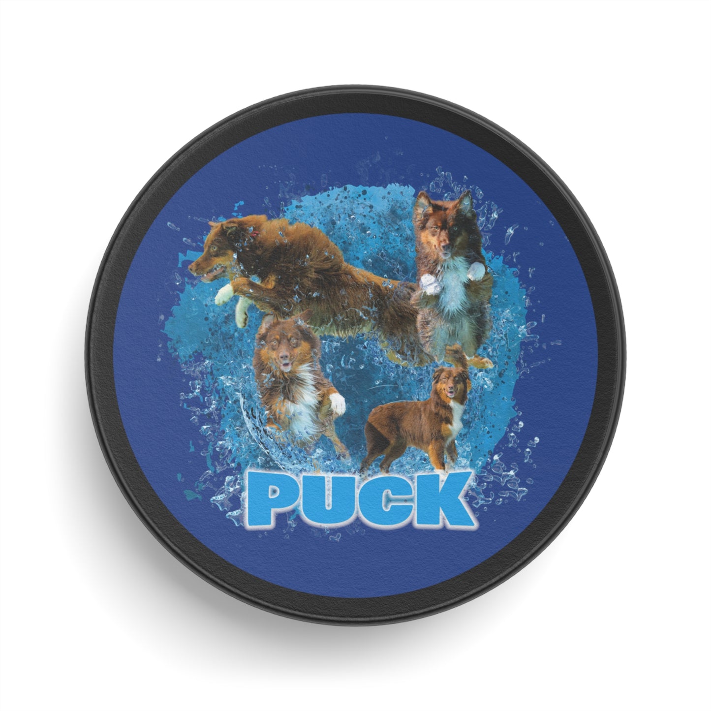 PUCK Hockey Puck