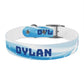 BUBBLES - DYLAN Dog Collar