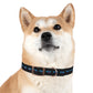 CUSTOM DZK9 Dog Collar