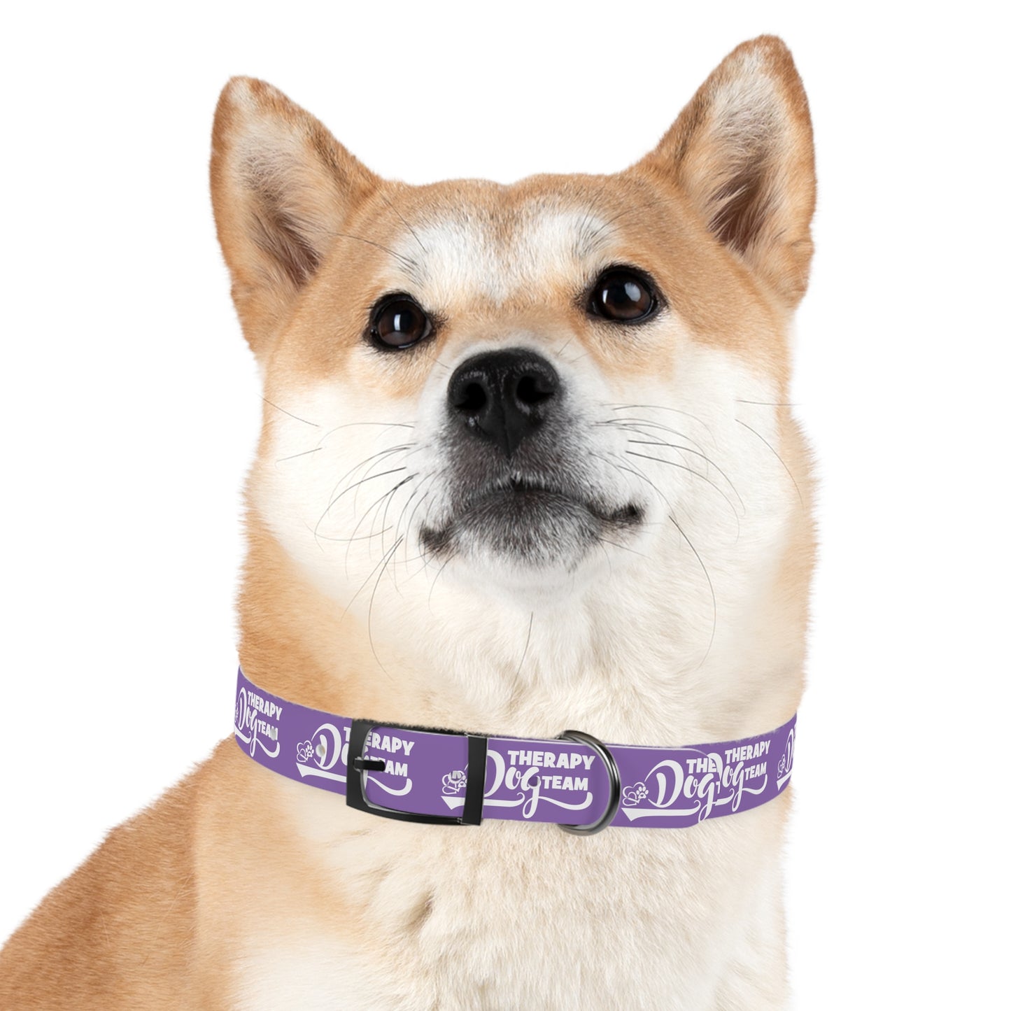 THERAPY DOG TEAM - Dog Collar