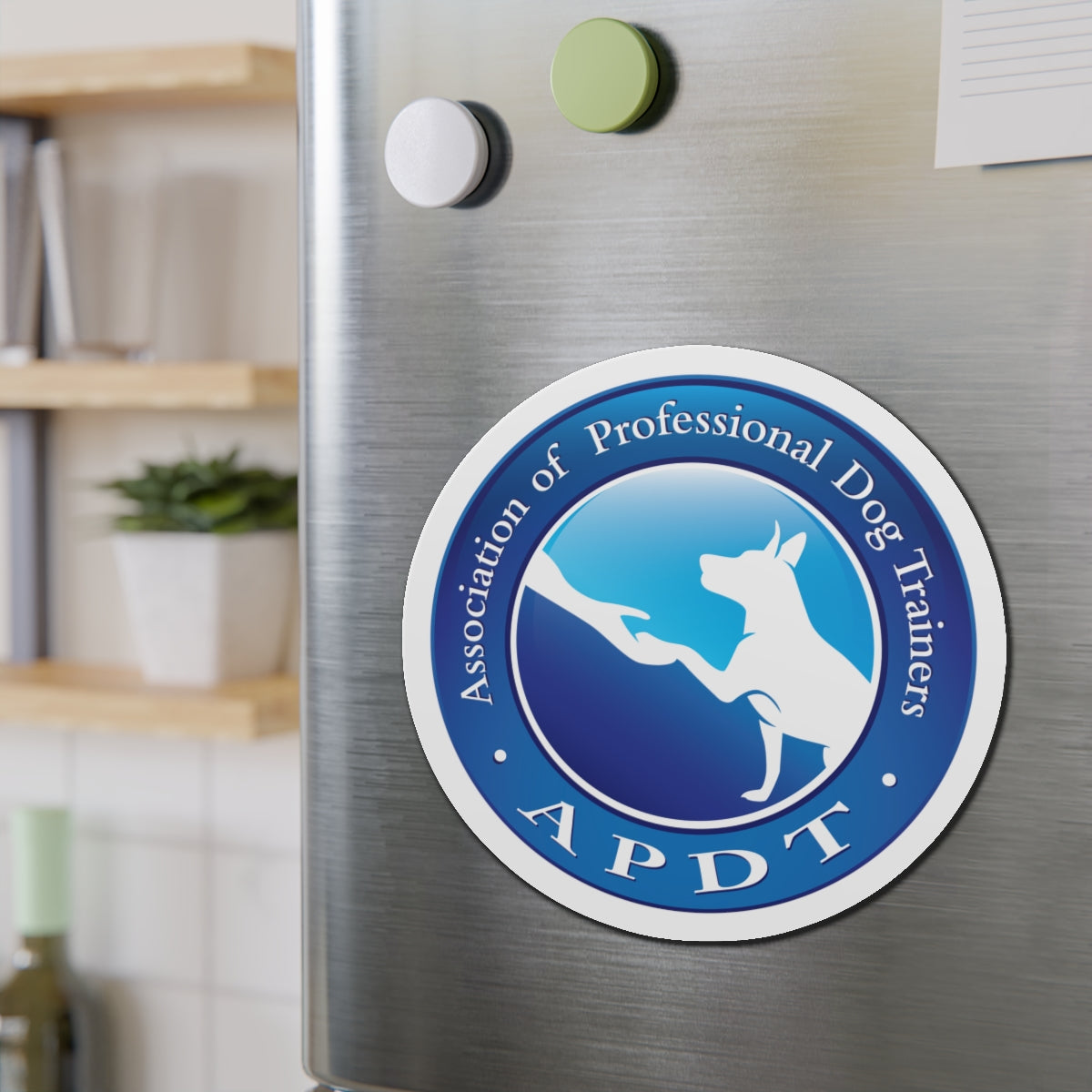 APDT Magnets