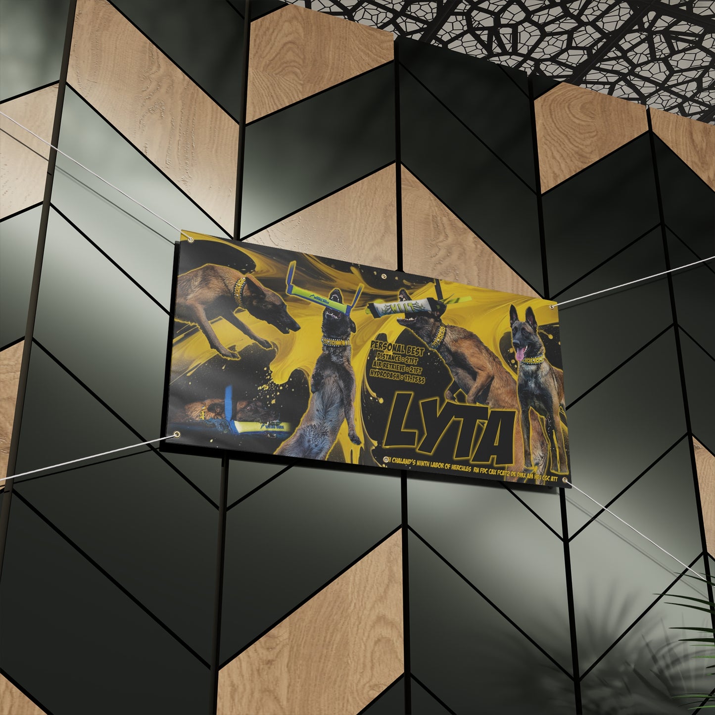LYTA Matte Banner