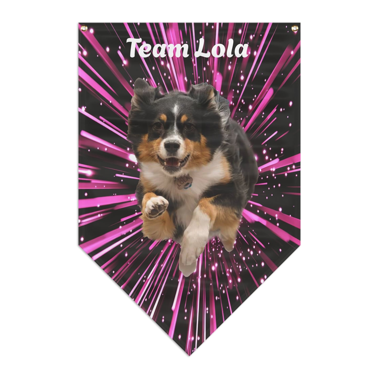 CHOOSE BACKGROUND! CUSTOM PINK ORANGE  BANNER