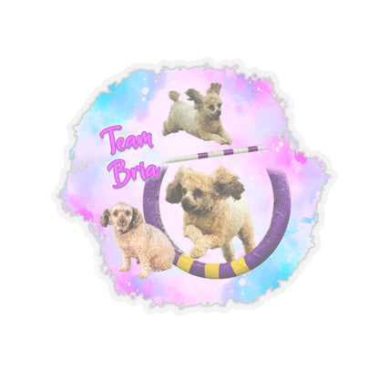 TEAM BRIA Stickers