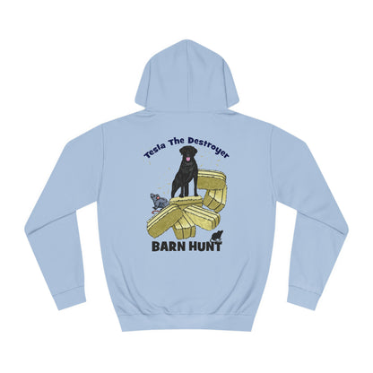 DS TESLA BARN HUNT Unisex College Hoodie