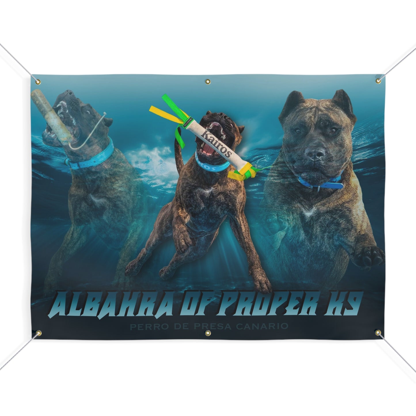 ALBAHRA BANNER