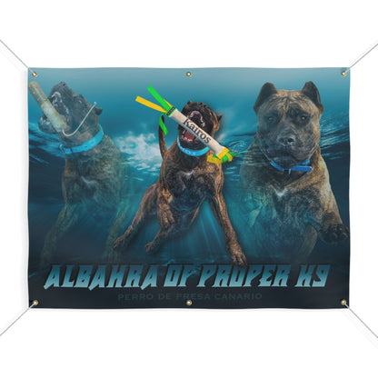 ALBAHRA BANNER