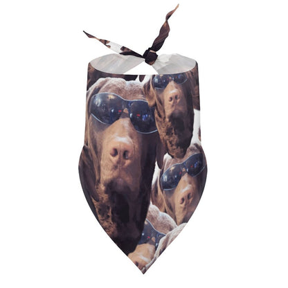 FOXY LADY _ LAB _ COLLAGE FACE DESIGN - customized dog bandana