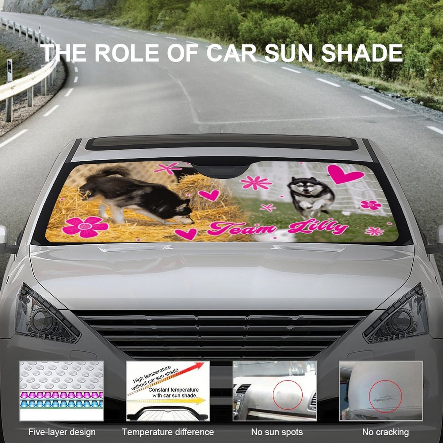 TEAM LILLY  Sun Shades