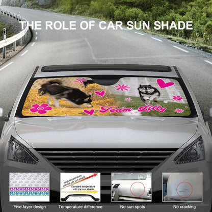 TEAM LILLY  Sun Shades