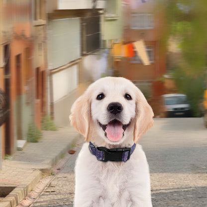 MUSIC DOG COLLAR